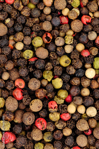 Mixed whole peppercorn background including  black  white  green and pimento berries