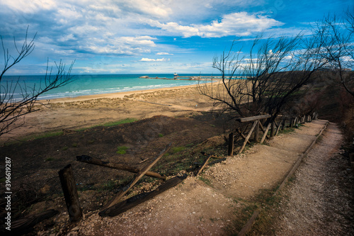Punta Penne Nature Reserve  Vasto  Abruzzi  Italy  the reserve after the fire in August 2020