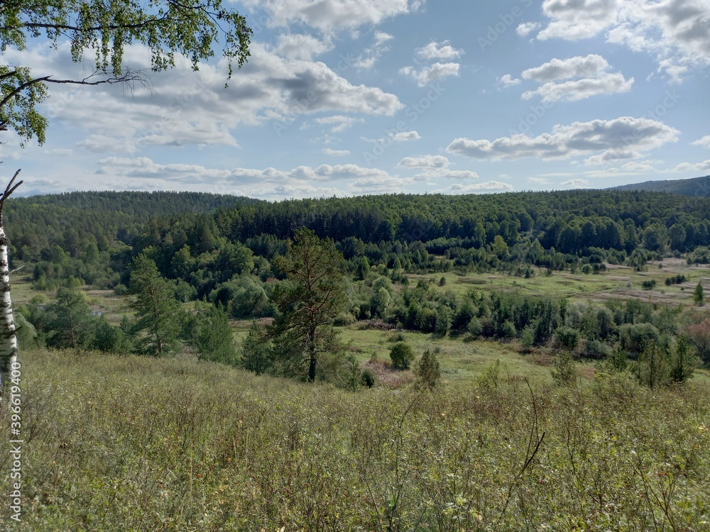 Fototapeta premium forest in the mountains