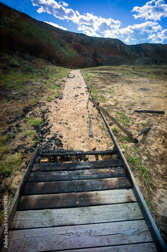 Punta Penne Nature Reserve, Vasto, Abruzzi, Italy: the reserve after the fire in August 2020