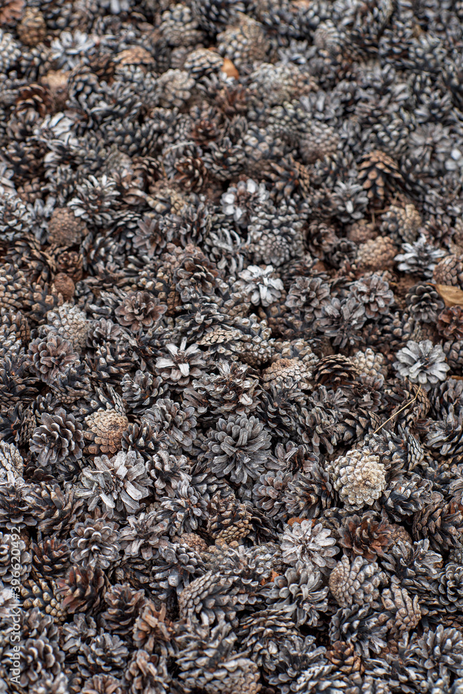 cones in the garden, organic mulch cones in the garden, organic mulch
