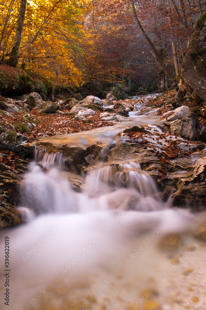 A creek in autumn