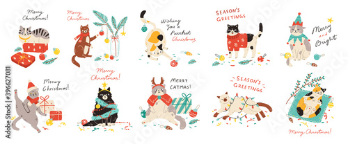 Merry Christmas! Collection of adorable cats and Xmas wishes. Vector illustration of pets spreading cheer for winter holidays in modern cartoon style. Elements are isolated.