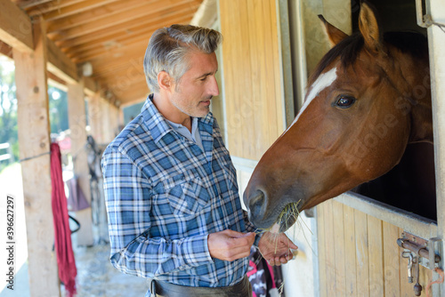 Fotografía Man feeding hay to horse over stable door