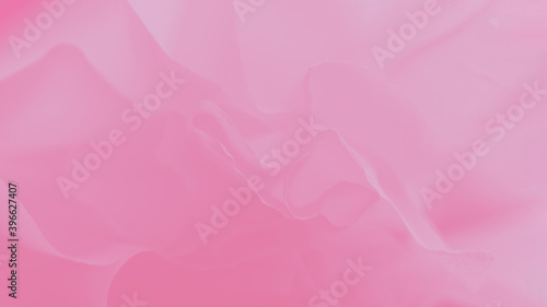 Pink coral abstract background, soft wrapping paper, panorama