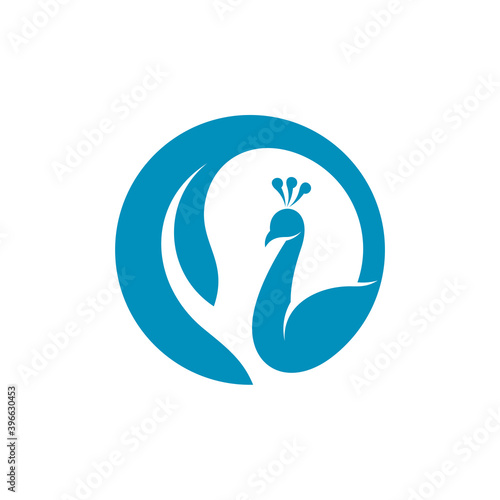 Peacock logo vector template, Creative Peacock logo design concepts, Illustration