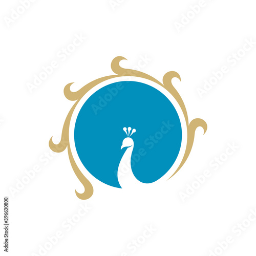 Peacock logo vector template, Creative Peacock logo design concepts, Illustration