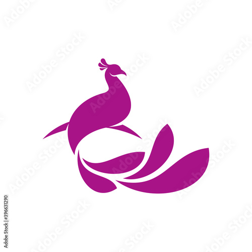 Peacock logo vector template, Creative Peacock logo design concepts, Illustration