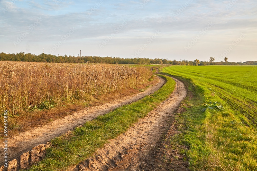 Agricultural field with tractor trail Agricultural field with tractor trail