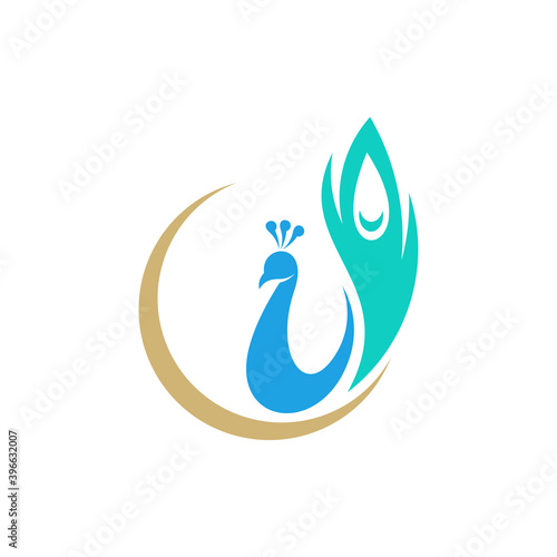 Peacock logo vector template, Creative Peacock logo design concepts, Illustration