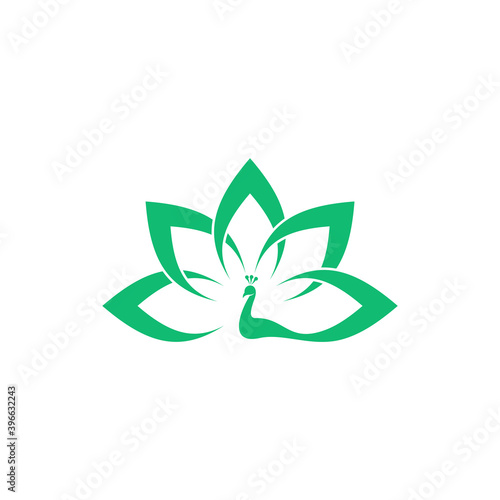 Peacock logo vector template, Creative Peacock logo design concepts, Illustration