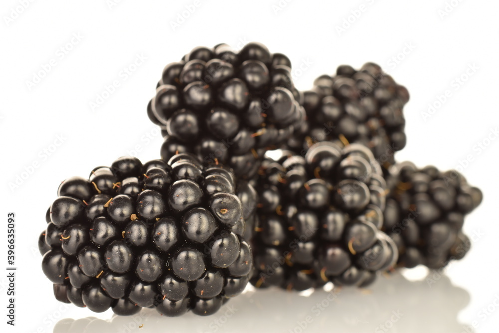 Organic blackberries, close-up, on a white background. Organic blackberries, close-up, on a white background.