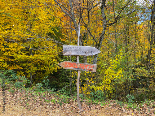 "Kastamonu, Cide-Kure Mountain, 01.12.2020: old wooden sign in the autumn forest"