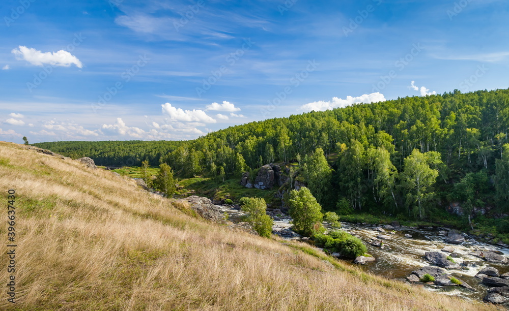 Fast river with rocky banks, overgrown with trees in summer