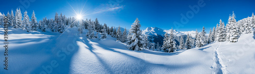 Winterpanorama mit Verschneiter Winterlandschaft