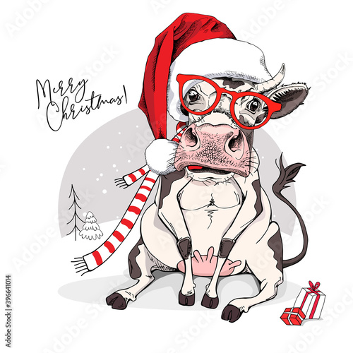 Merry Christmas and New year card. Sitting smiling cow in the red scarf and Santa's hat with the gifts. Humor t-shirt composition, meme, hand drawn style print. Vector illustration.