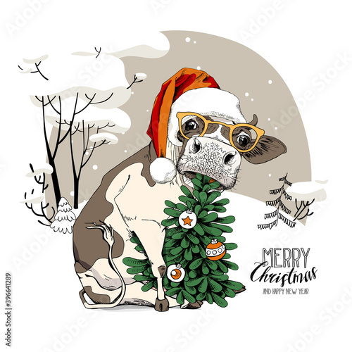 Merry Christmas and New year card. Sitting cow in the red Santa's hat, in the glasses and with the fir tree. Humor t-shirt composition, meme, hand drawn style print. Vector illustration.