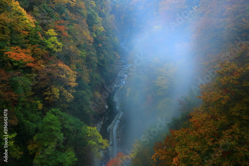 秋田県 紅葉の小安峡