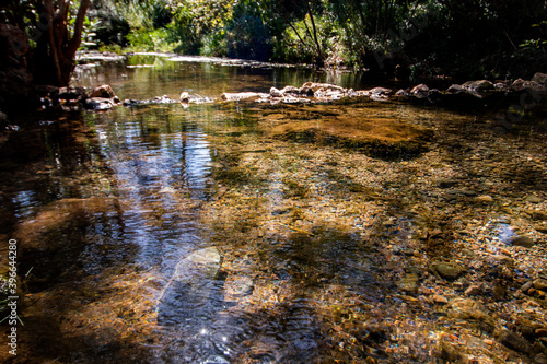 fresh river water flowing photo