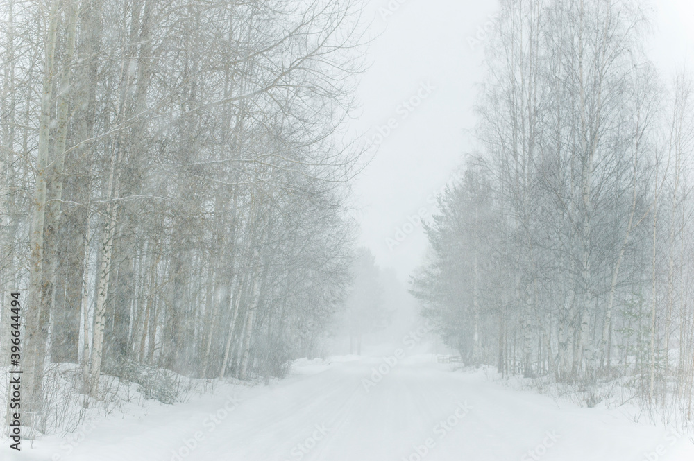 Winter road Winter road