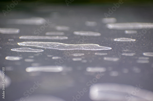 Limestone on a car surface photo