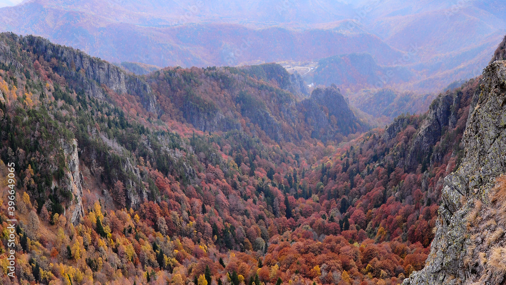 View of the rocky mountainsides of Cozia Massif. Autumn season, the whole forest is colored in red. Olt valley winds through the dense forests of Carpathian Mountains. 