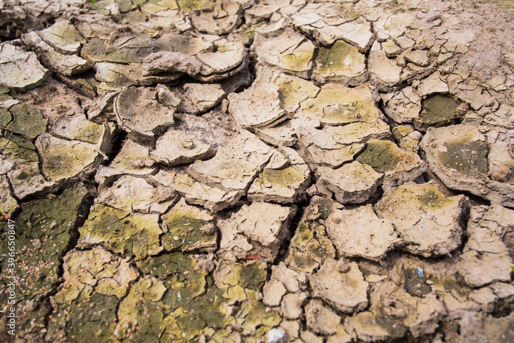 Cracked dry soil in countryside Cracked dry soil in countryside