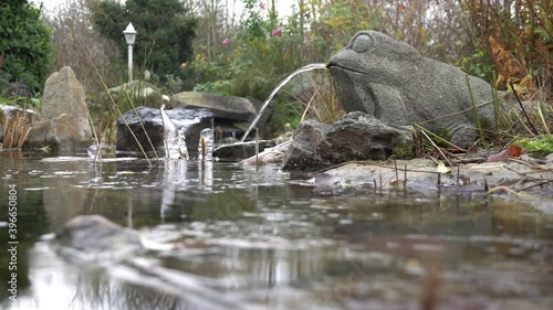 Wasser speiender Frosch aus Stein am Gartenteich photo