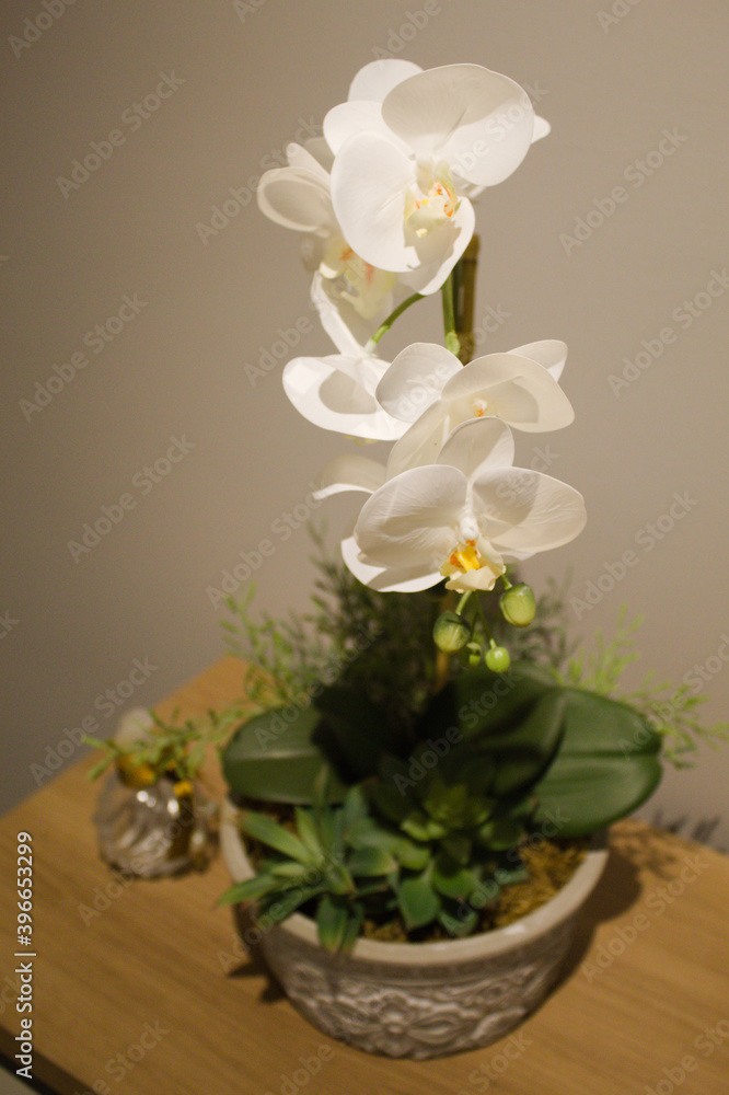 Orchid in a vase on a wooden table