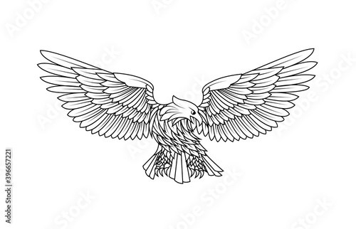 Drawing of an attacking eagle vector illustration