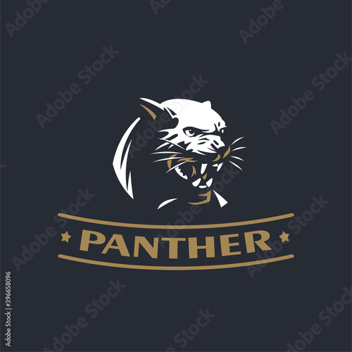 The angry panther
