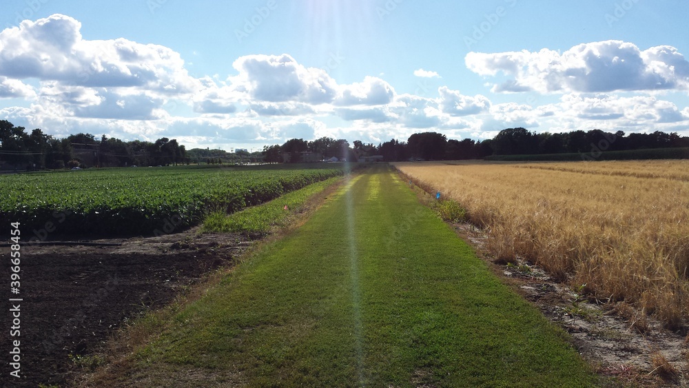 Open landscape agriculture field