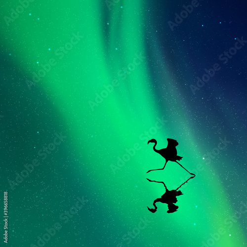 Running flamingo. Bird silhouette at night. Green aurora borealis