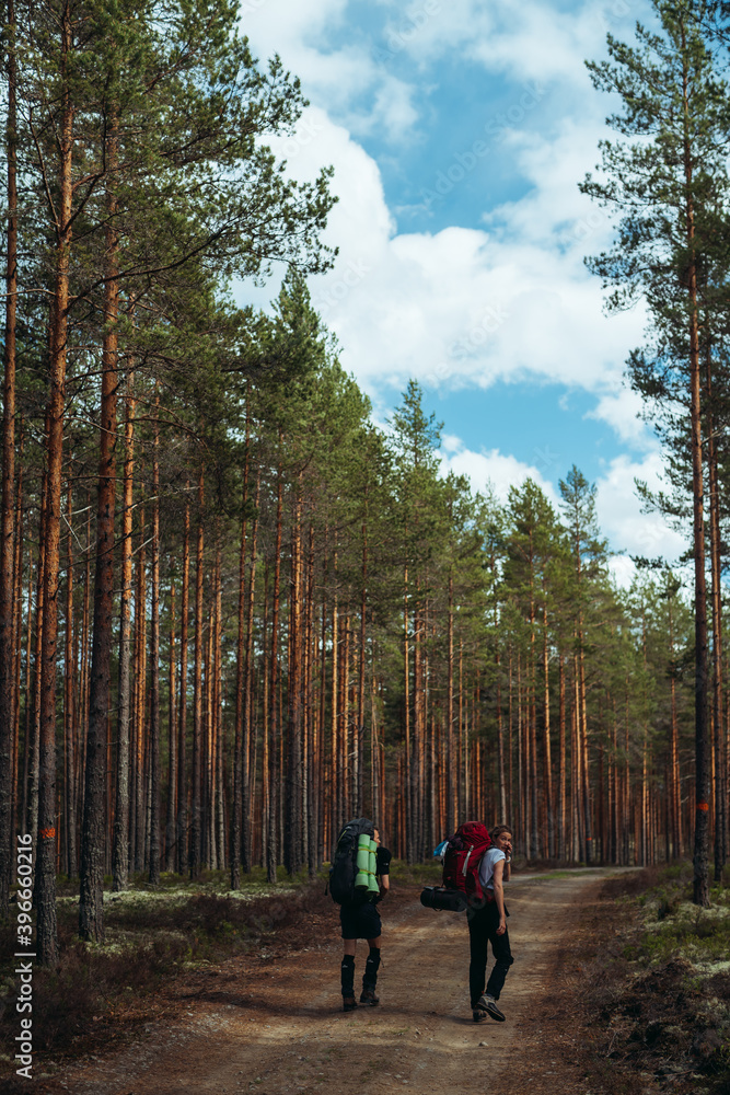 Hikers with rucksacks walking on road passing through forest Hikers with rucksacks walking on road passing through forest