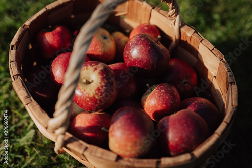 Close up of apples in basket