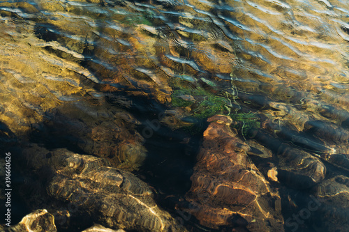 View of ripples on water surface