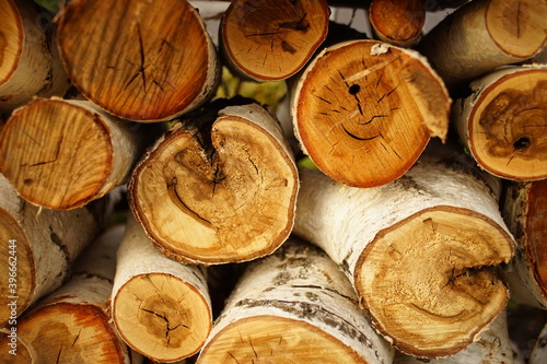 Warehouse logs of birch wood harvested for the winter closeup