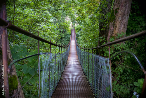 Narrow metal foot bridge across forest in autumn