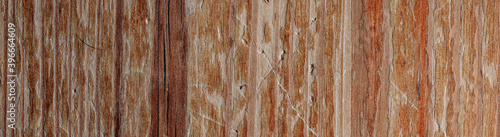 panorama of an old scratched wood surface. wooden board close up. © Marina Gordejeva