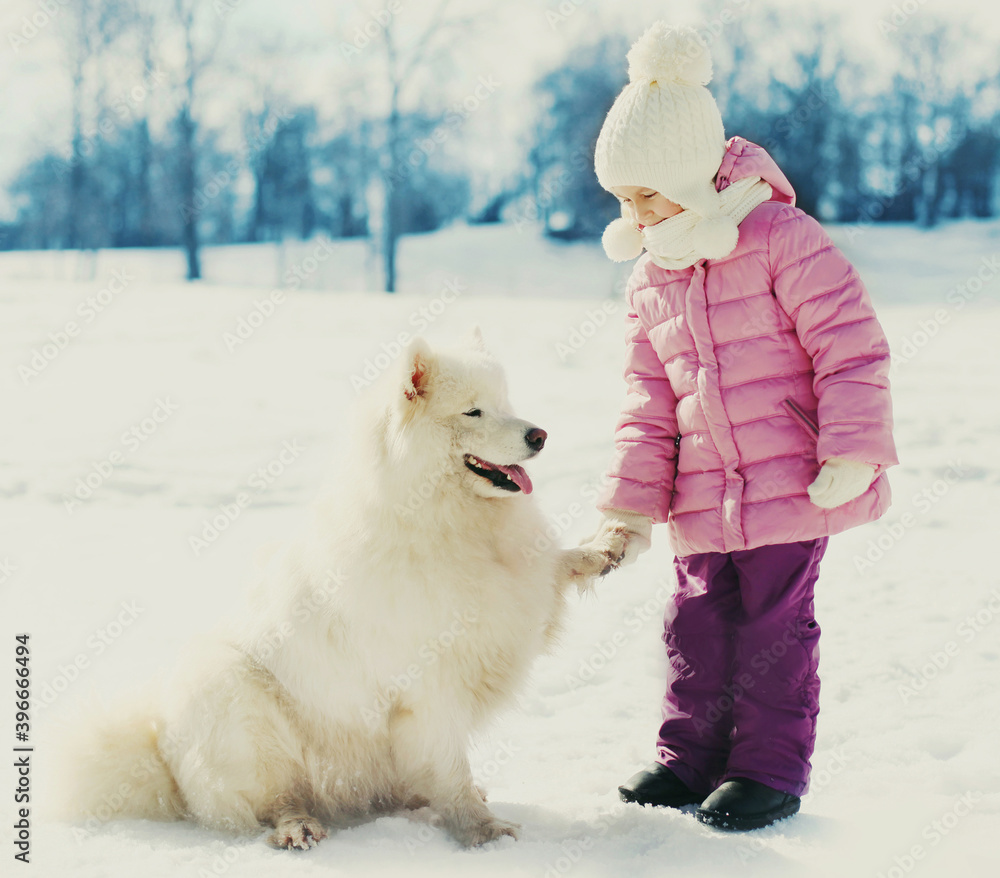 Portrait of happy smiling child with white Samoyed dog in winter park Portrait of happy smiling child with white Samoyed dog in winter park