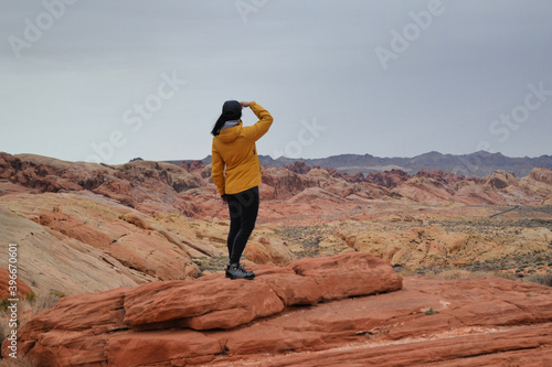 Obraz na płótnie Valley of Fire, Nevada w salonie