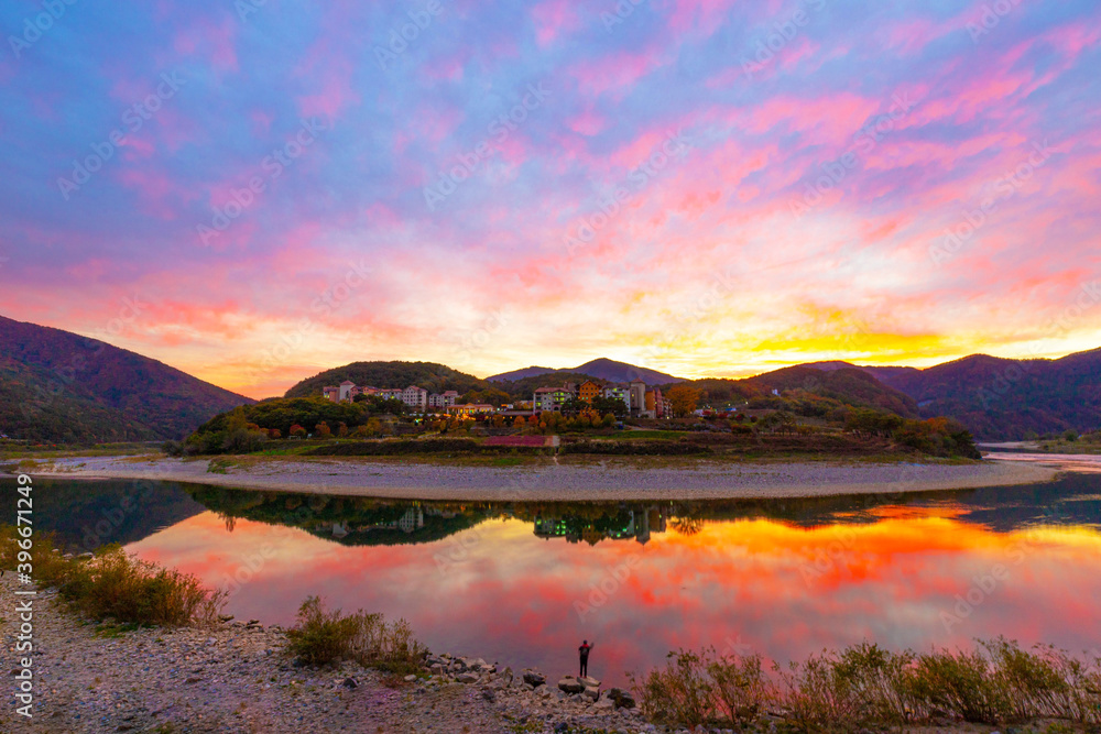 Fototapeta premium 단풍