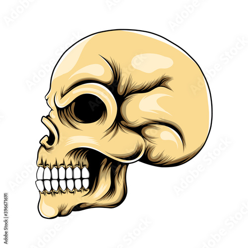 The skull head with the hole eyes and nose and posed by the side