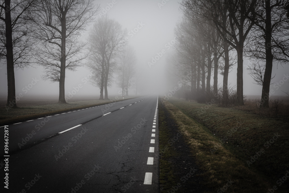 Fog on the empty road