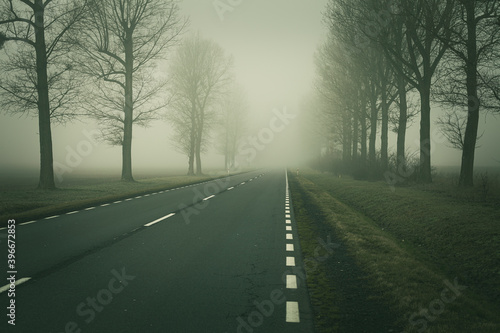 Fog on the empty road