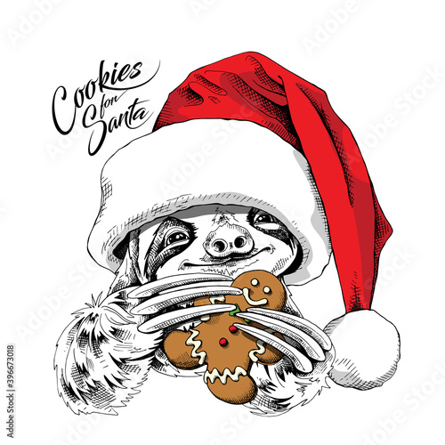 Adorable smiling sloth in a red christmas hat with a gingerbread man. Cookies for Santa - lettering quote. New year card, Humor composition, hand drawn style print. Vector illustration.