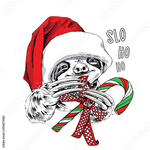 Adorable smiling sloth in a red Santa's hat with a lollipop. Slo Ho Ho - lettering quote. Christmas and New year card, Humor composition, hand drawn style print. Vector illustration.