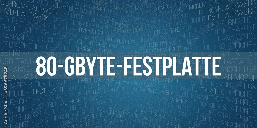 80-GByte-Festplatte