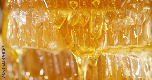 Drops of fresh honey slowly flow down. Macro background.