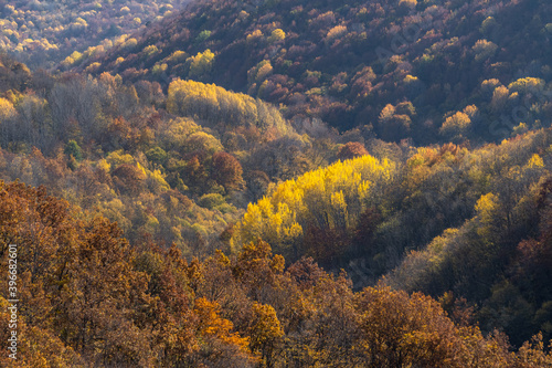 View of the Crimean autumn forest